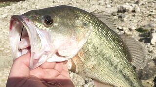 Эврету — бассовая рыбалка: береговые маршруты на рассвете
