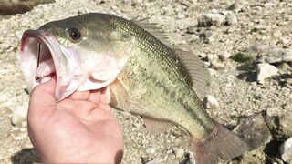 Эврету — бассовая рыбалка: береговые маршруты на рассвете