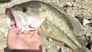 Эврету — бассовая рыбалка: береговые маршруты на рассвете