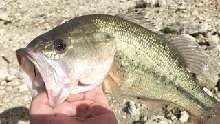 Эврету — бассовая рыбалка: береговые маршруты на рассвете