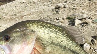 Эврету — бассовая рыбалка: береговые маршруты на рассвете