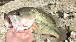 Эврету — бассовая рыбалка: береговые маршруты на рассвете