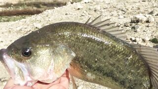 Эврету — бассовая рыбалка: береговые маршруты на рассвете