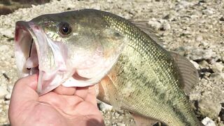 Эврету — бассовая рыбалка: береговые маршруты на рассвете