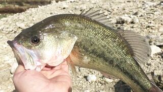 Эврету — бассовая рыбалка: береговые маршруты на рассвете