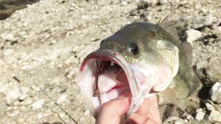 Эврету — бассовая рыбалка: береговые маршруты на рассвете