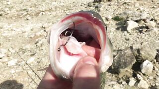 Эврету — бассовая рыбалка: береговые маршруты на рассвете