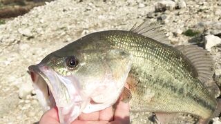 Эврету — бассовая рыбалка: береговые маршруты на рассвете