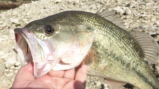 Эврету — бассовая рыбалка: береговые маршруты на рассвете