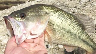 Эврету — бассовая рыбалка: береговые маршруты на рассвете