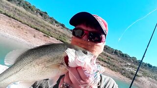 Evretou — субботний выезд: басс держится у коряг?