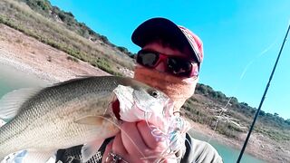 Evretou — субботний выезд: басс держится у коряг?