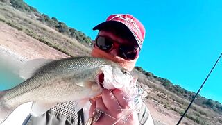 Evretou — субботний выезд: басс держится у коряг?