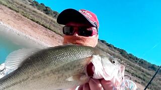 Evretou — субботний выезд: басс держится у коряг?