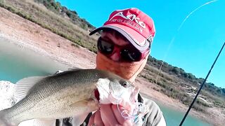 Evretou — субботний выезд: басс держится у коряг?