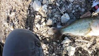 Evretou Dam — бассовая рыбалка на Кипре: рассветные точки