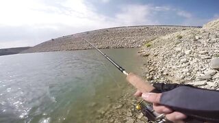 Аспрокреммос — бассовая рыбалка 15.04.2017: первые поклевки