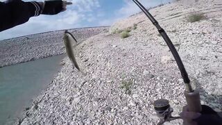 Аспрокреммос — бассовая рыбалка 15.04.2017: первые поклевки