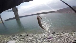 Аспрокреммос — бассовая рыбалка 15.04.2017: первые поклевки