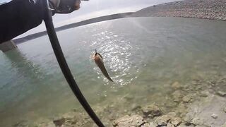 Аспрокреммос — бассовая рыбалка 15.04.2017: первые поклевки