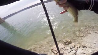 Аспрокреммос — бассовая рыбалка 15.04.2017: первые поклевки