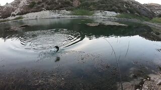 Asprokremmos, Cyprus — бассы на джиг: рельеф, ветер и тени дамбы