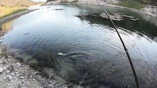 Asprokremmos, Cyprus — бассы на джиг: рельеф, ветер и тени дамбы