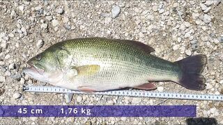 Asprokremmos Dam, часть II, бассовая рыбалка на Кипре