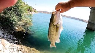 Asprokremmos Dam, часть II, бассовая рыбалка на Кипре