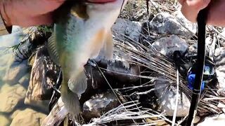 Asprokremmos Dam — бассы активны или ждать потепления?