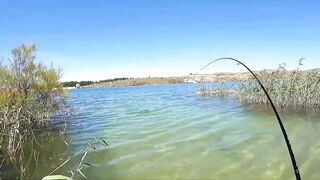 Asprokremmos Dam — бассы активны или ждать потепления?