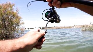 Asprokremmos Dam — бассы активны или ждать потепления?