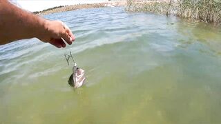 Asprokremmos Dam — бассы активны или ждать потепления?