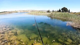 Asprokremmos Dam — бассы активны или ждать потепления?