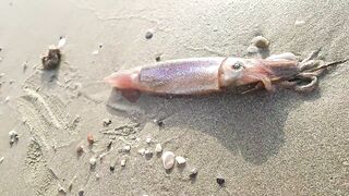 Larnaca — кальмар с берега утром: свет, глубина, паузы