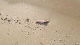 Larnaca — кальмар с берега утром: свет, глубина, паузы