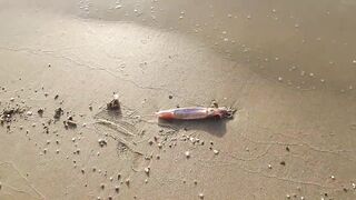 Larnaca — кальмар с берега утром: свет, глубина, паузы