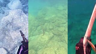 Larnaca — корнет-фиш под выстрел: подводная охота у берега