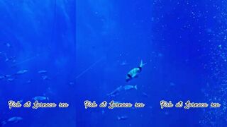 Larnaca Fishing Adventures — морская рыбалка в Ларнаке для гостей города