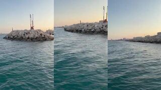 Larnaca Pier — много рыбаков у пирса, чем клюет в час пик?