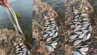 Al Khor, Qatar — рыбалка у мола: утренние забросы и прибрежные косяки