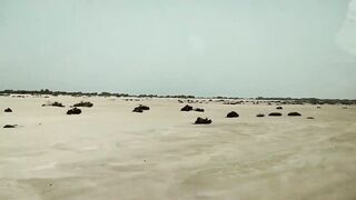 Al Khor, Al Dakhira Beach — оффроуд и точки: где искать клев на косах?