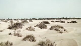 Al Khor, Al Dakhira Beach — оффроуд и точки: где искать клев на косах?