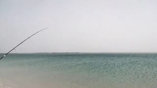 Al Khor, Al Dakhira Beach — оффроуд и точки: где искать клев на косах?