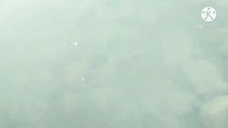 Al Khor Corniche — рыбалка с набережной: часть 6, что изменилось?