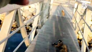 Al Khor Corniche — рыбалка с набережной: часть 6, что изменилось?