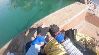 Al Khor Corniche — рыбалка с набережной: часть 6, что изменилось?