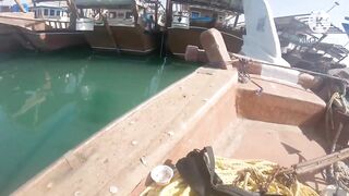 Al Khor Corniche — рыбалка с набережной: часть 6, что изменилось?