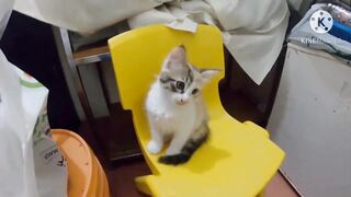 Al Khor Corniche — рыбалка с набережной: часть 6, что изменилось?