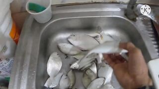 Al Khor Corniche — рыбалка с набережной: часть 6, что изменилось?